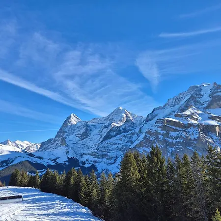 Casa Uno - Heimeliges - Naehe Interlaken *