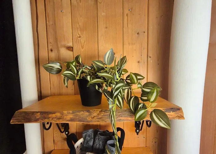 Alpesi faház Casa Uno Heimeliges Mitten In *